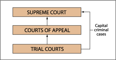 judicial branch definition
