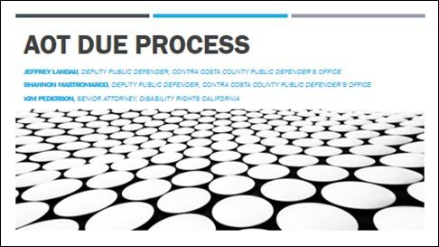 Due Process in Assisted Outpatient Treatment (“Laura’s Law”)