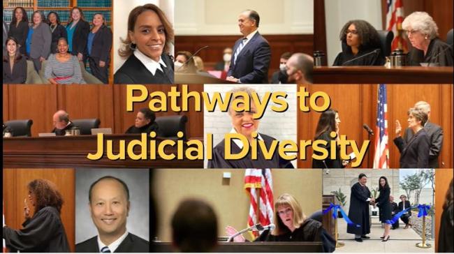 Pathways to Judicial Diversity
