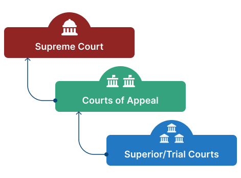 Levels of court